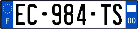 EC-984-TS