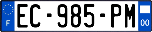 EC-985-PM