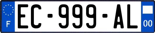 EC-999-AL