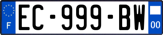 EC-999-BW