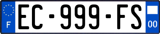 EC-999-FS