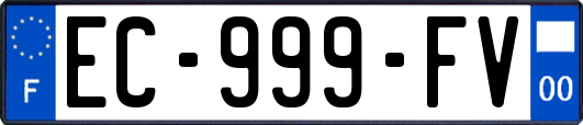 EC-999-FV