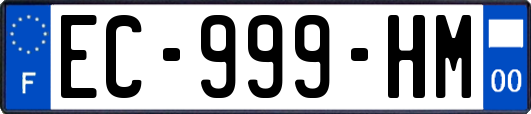 EC-999-HM