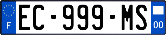 EC-999-MS