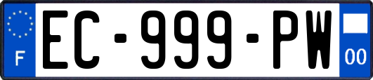 EC-999-PW