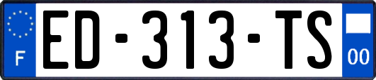 ED-313-TS