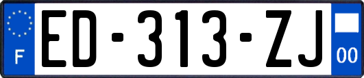 ED-313-ZJ