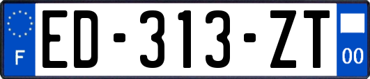 ED-313-ZT