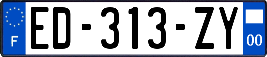 ED-313-ZY