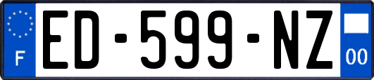 ED-599-NZ