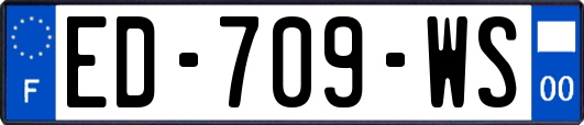 ED-709-WS