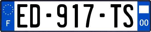 ED-917-TS