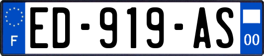 ED-919-AS