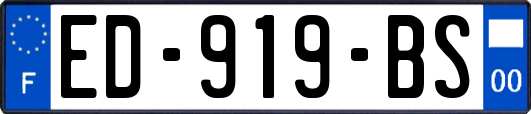 ED-919-BS