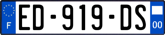 ED-919-DS