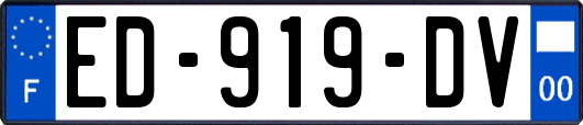 ED-919-DV