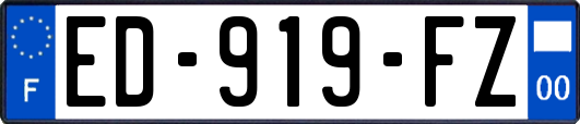 ED-919-FZ