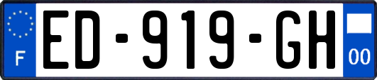 ED-919-GH