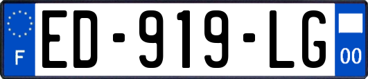 ED-919-LG
