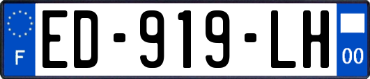 ED-919-LH