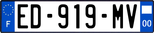 ED-919-MV