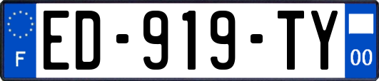 ED-919-TY