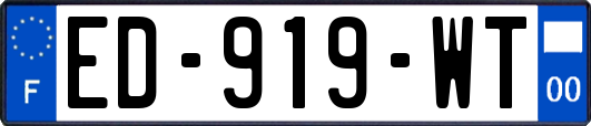 ED-919-WT