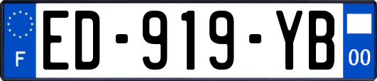 ED-919-YB
