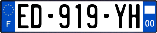 ED-919-YH