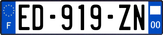 ED-919-ZN