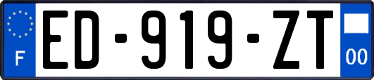 ED-919-ZT