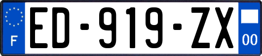 ED-919-ZX