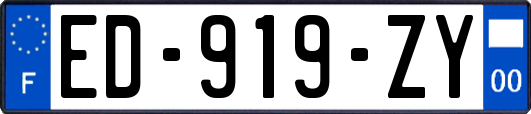 ED-919-ZY