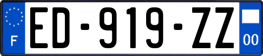 ED-919-ZZ