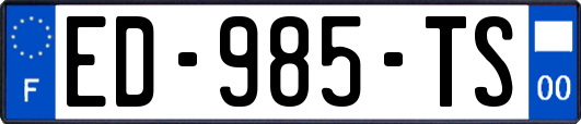 ED-985-TS