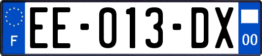 EE-013-DX