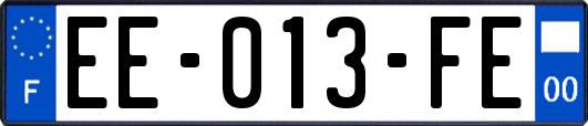 EE-013-FE