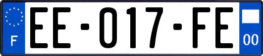 EE-017-FE
