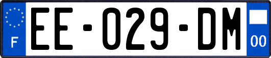 EE-029-DM