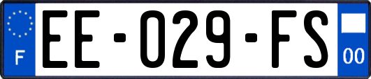 EE-029-FS