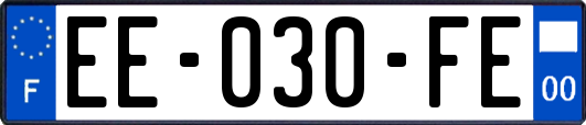 EE-030-FE