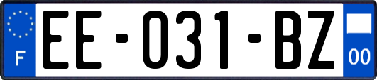 EE-031-BZ