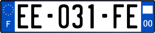 EE-031-FE