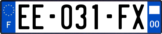 EE-031-FX