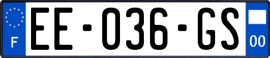 EE-036-GS