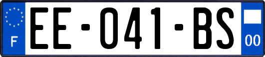 EE-041-BS