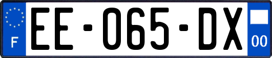 EE-065-DX