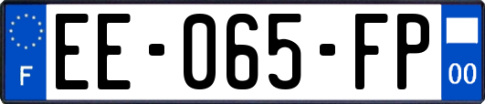 EE-065-FP