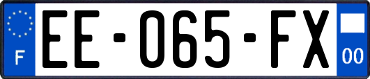 EE-065-FX