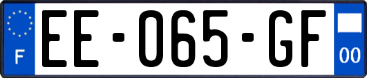 EE-065-GF